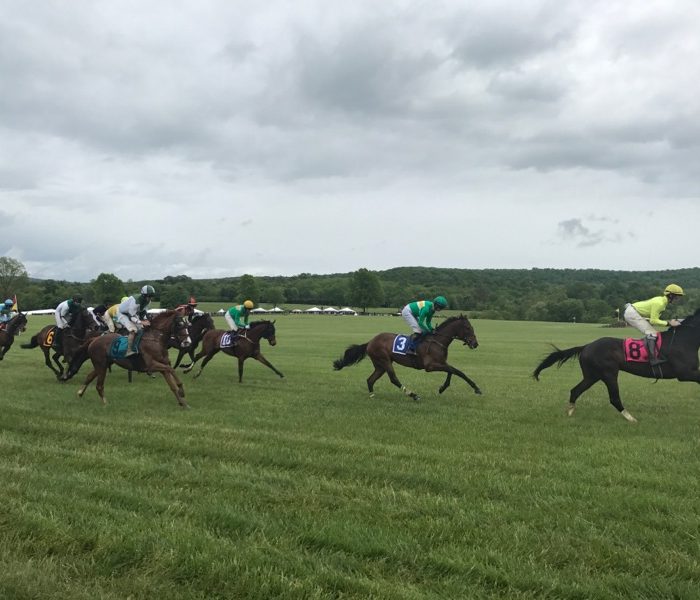 What to do when Spring is not quite in full swing