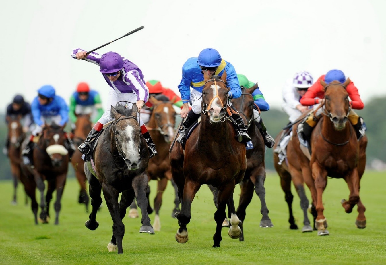 Gold Cup: Where Ascot Meets Woodstock